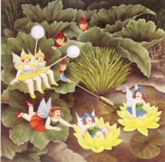 Fairies & Pixies