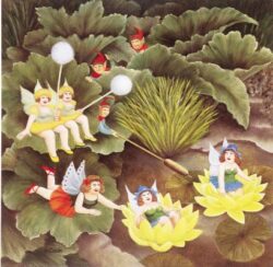 Fairies & Pixies