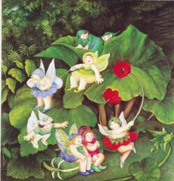 Fairy Dell