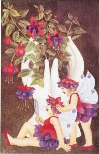 Fuchsia Fairies