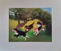 Tigger,Sammy,Trixie and Dottie Mounted Print